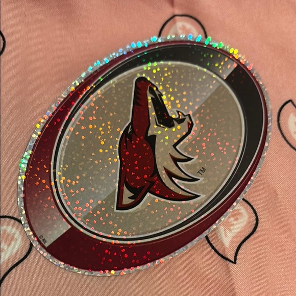 Holographic NHL Team Stickers Set GWP - Picture 5 of 6